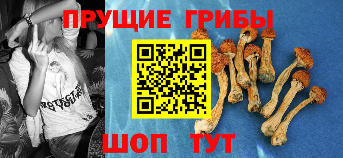 Псилоцибиновые грибы мицелий Междуреченск