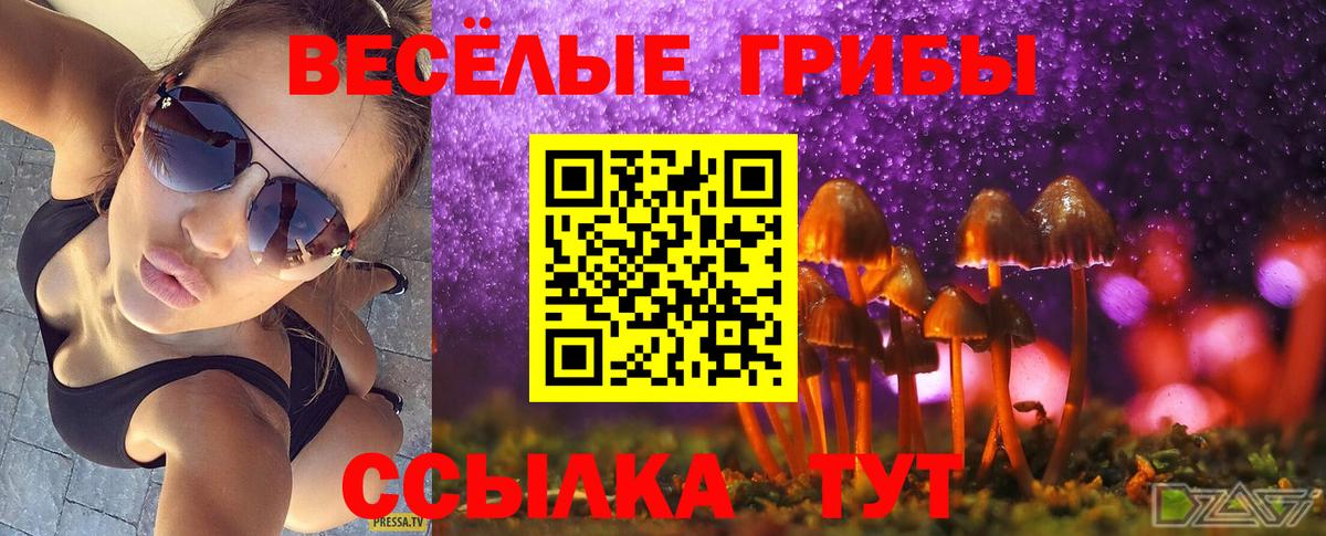 Междуреченск  Псилоцибиновые грибы Psilocybine cubensis  Вход с VPN  хочу   Галлюциногенные грибы мицелий 