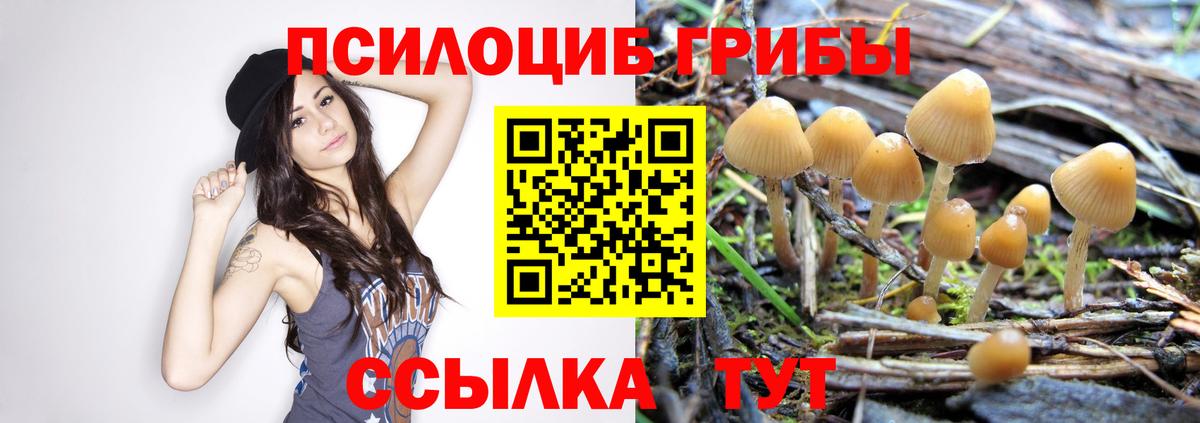 МЕТ  Вход с VPN  ЭКСТАЗИ  Междуреченск  Меф кристаллы  Марихуана 